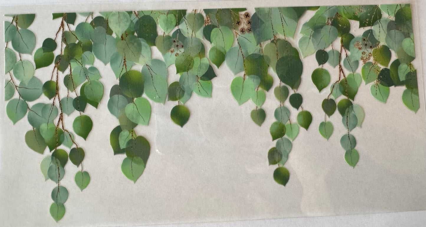 Hanging Eucalyptus
