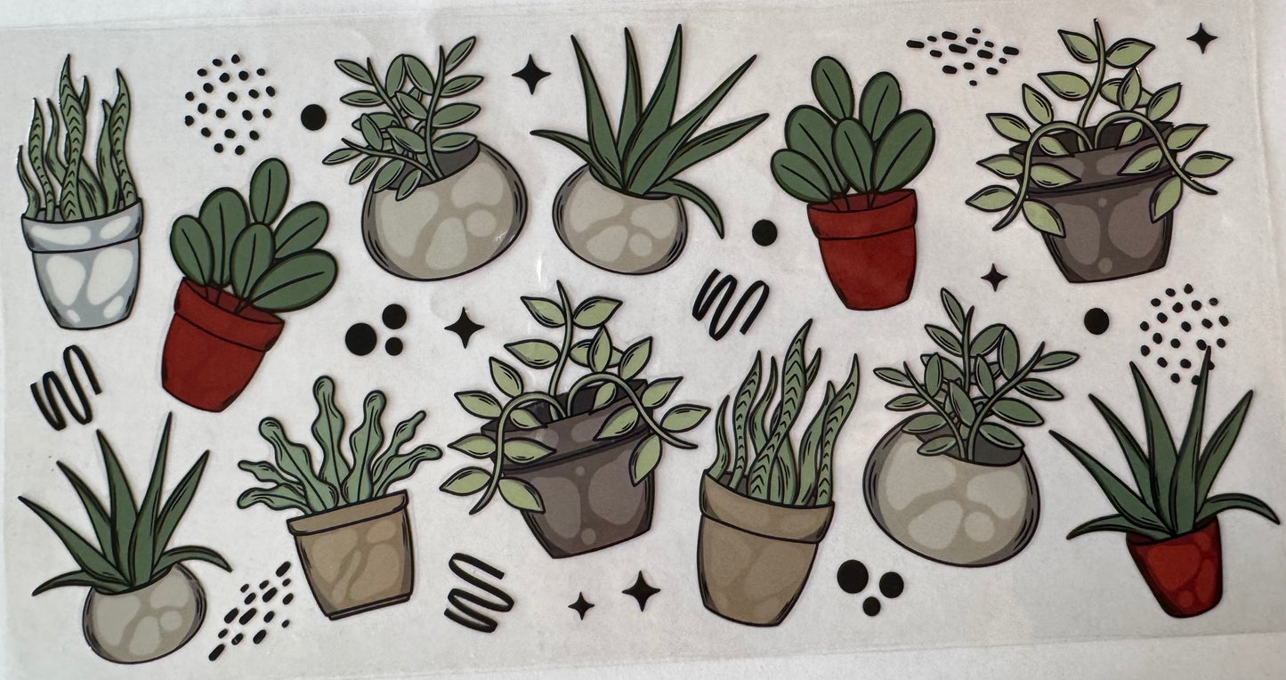 Potted Plants