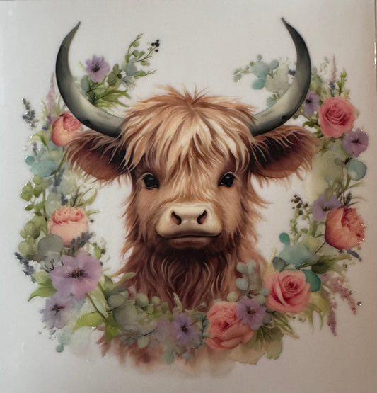 Highland Cow #4