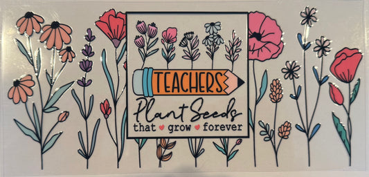 Teachers Plant Seeds