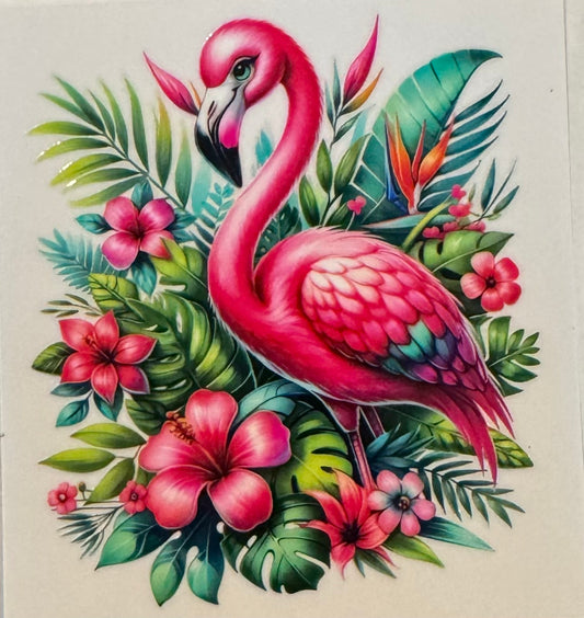 Flamingo