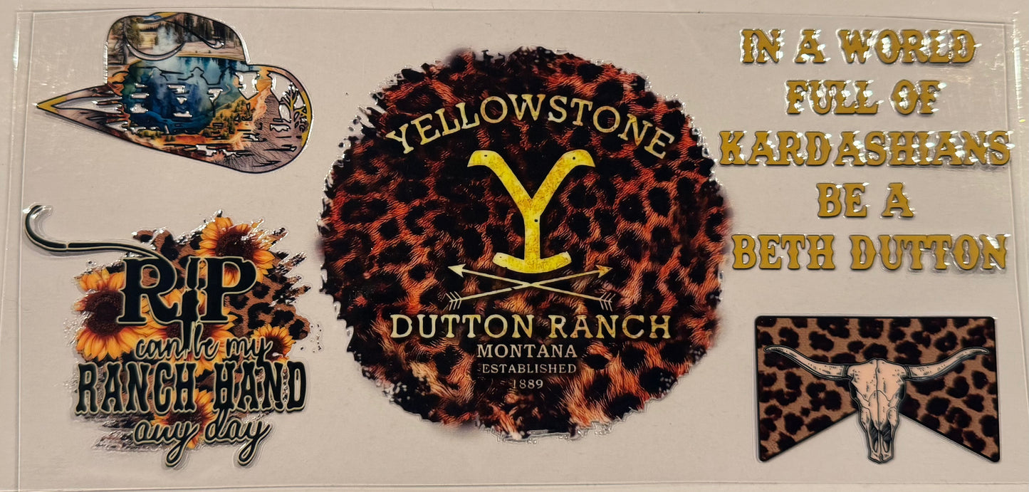 Yellowstone Cheetah