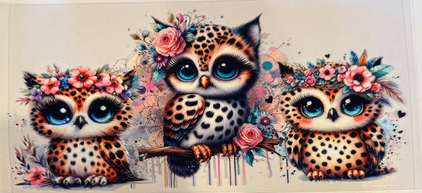 Floral Owls