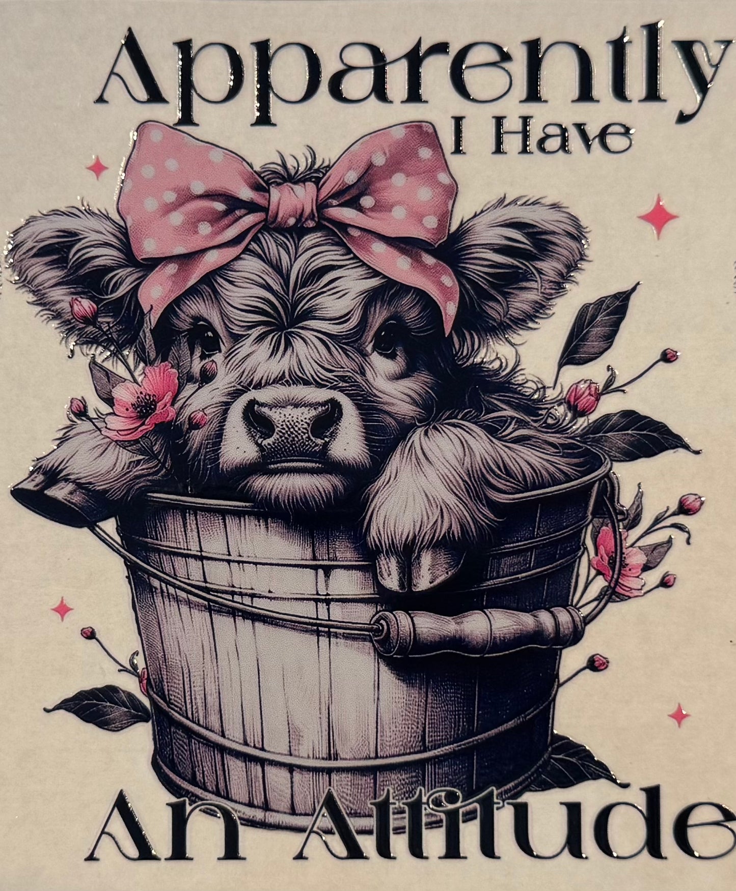 Apparently I have an Attitude