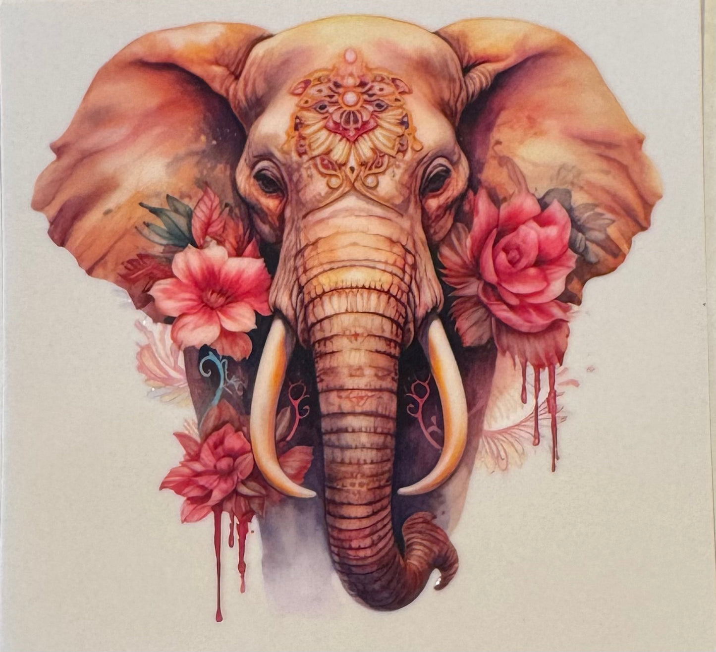 Elephant Pink Flowers
