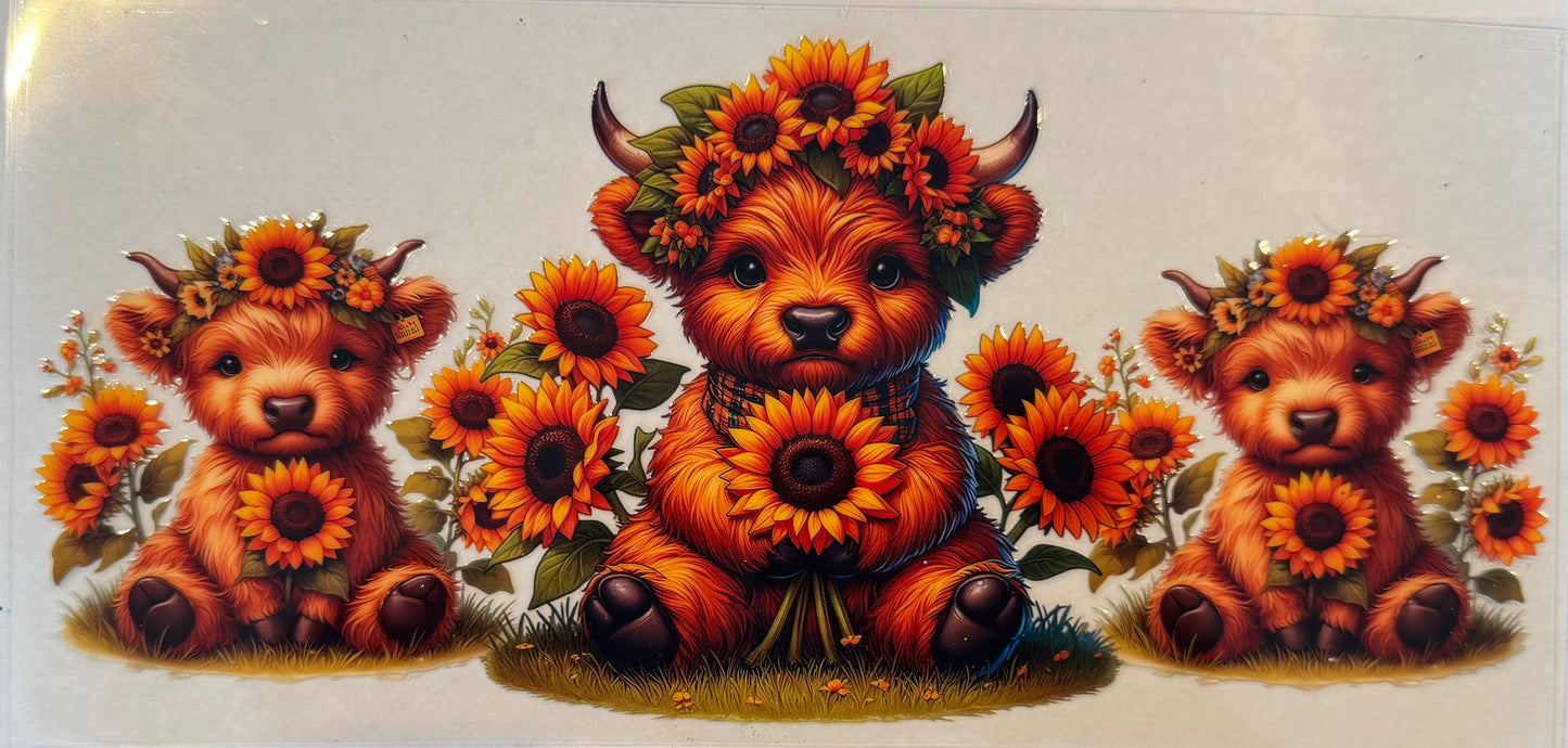 Sunflower Cows