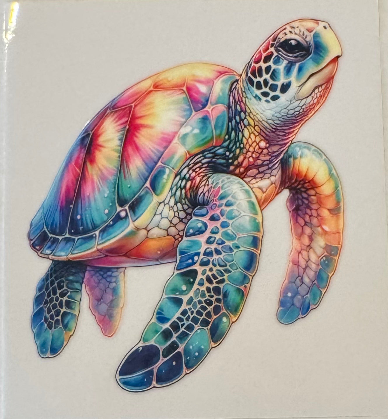 Rainbow Sea Turtle