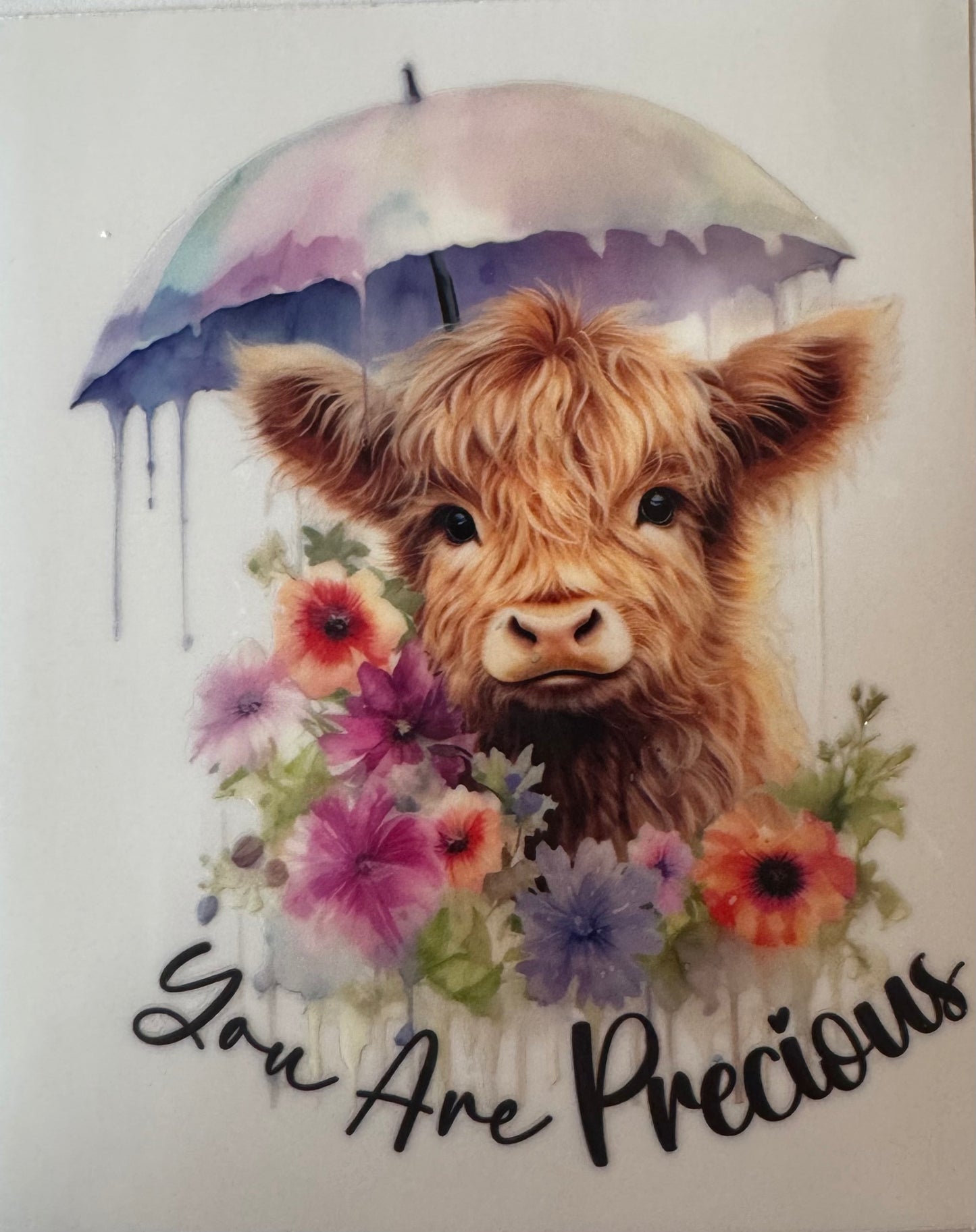 Highland Cow - You are unique