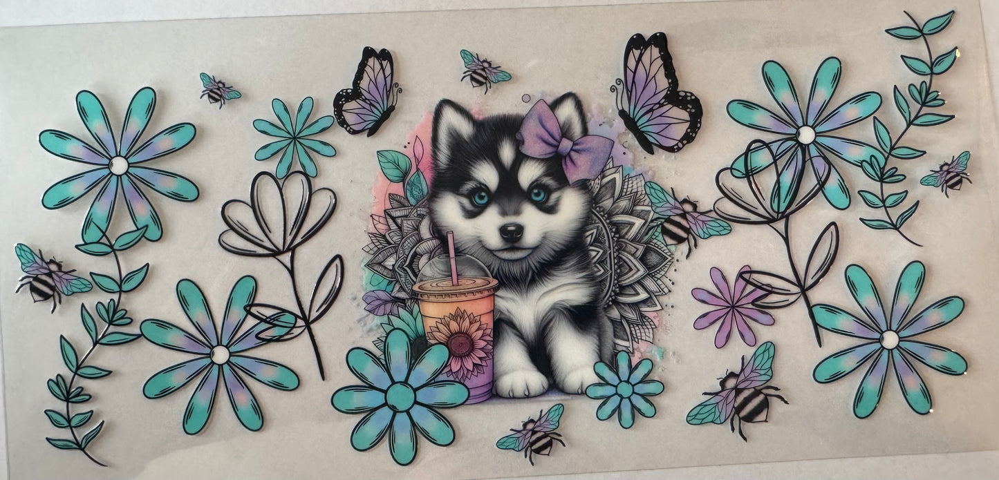 Husky w/ Coffee