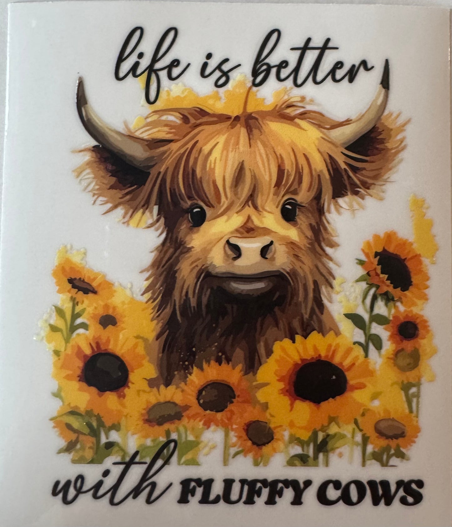 Life is better with fluffy cows