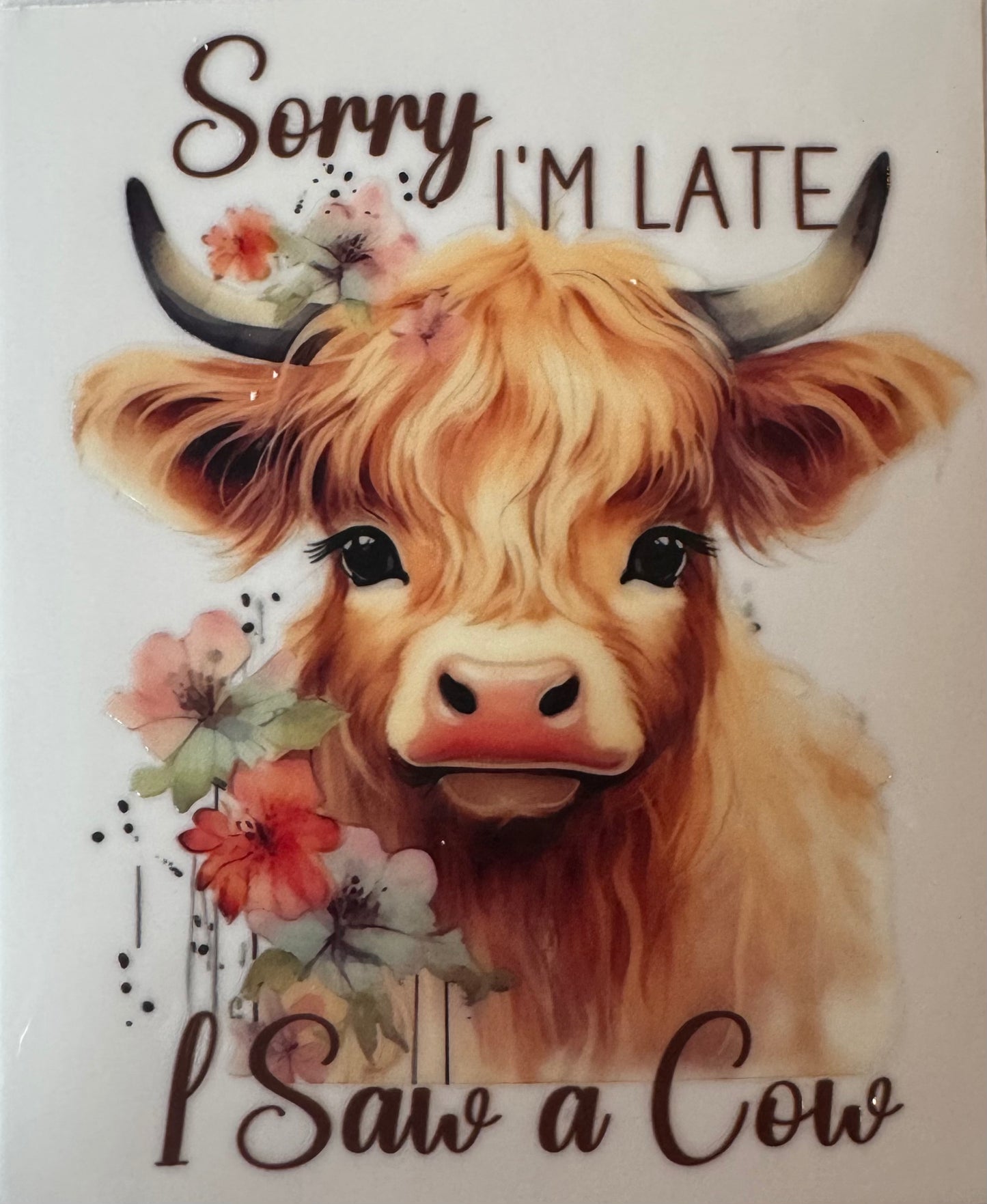 Sorry I’m late, l saw a cow