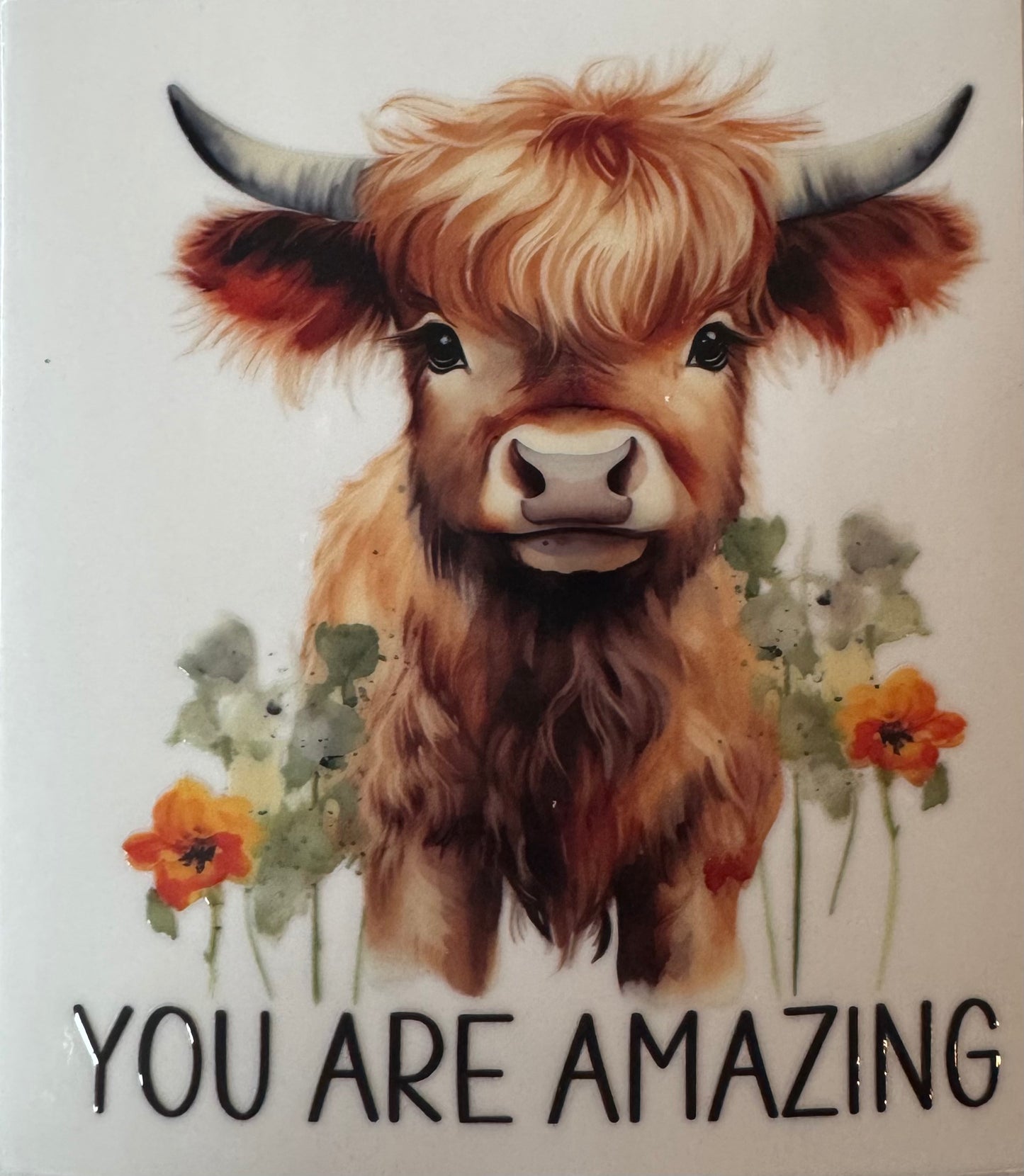 Highland Cow - You are amazing #1