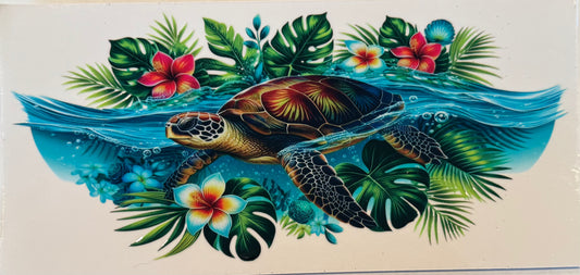 Leafy Sea Turtle