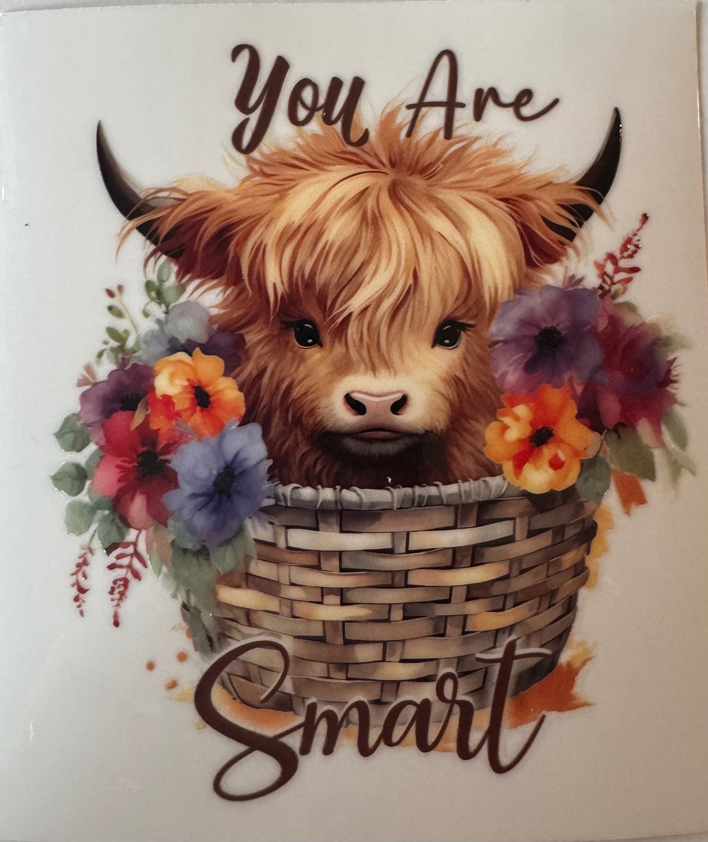 Highland Cow - You are brave
