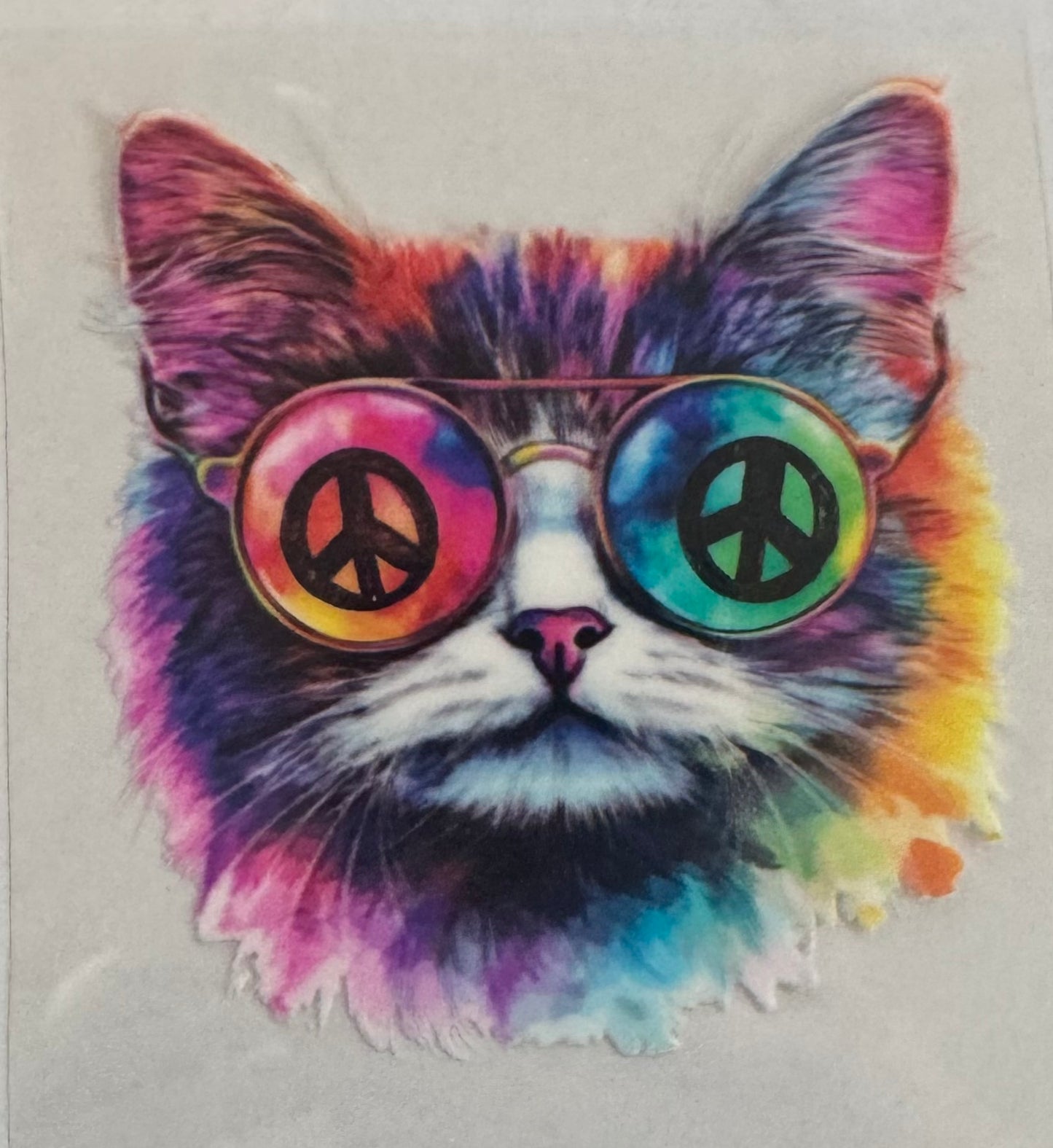 Hippy Cat