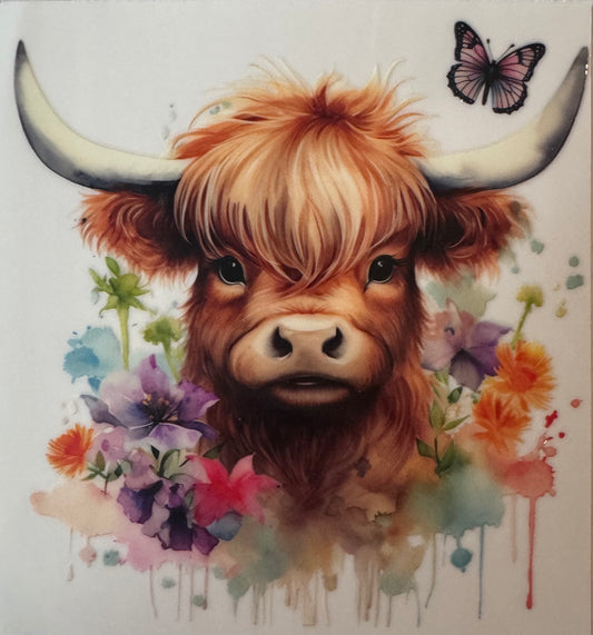 Highland Cow #3
