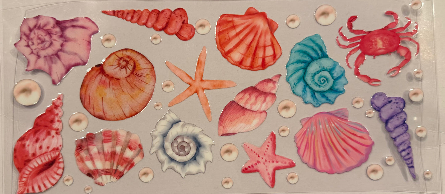 Seashells