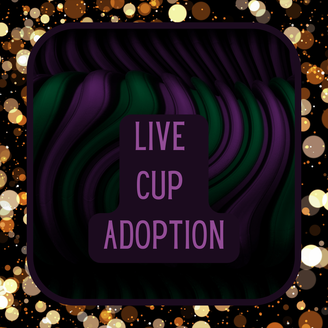 LIVE CUP ADOPTION