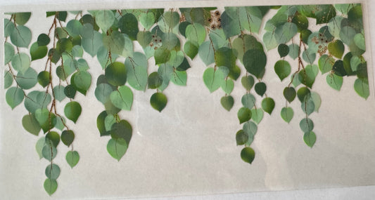 Hanging Eucalyptus