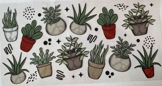 Potted Plants