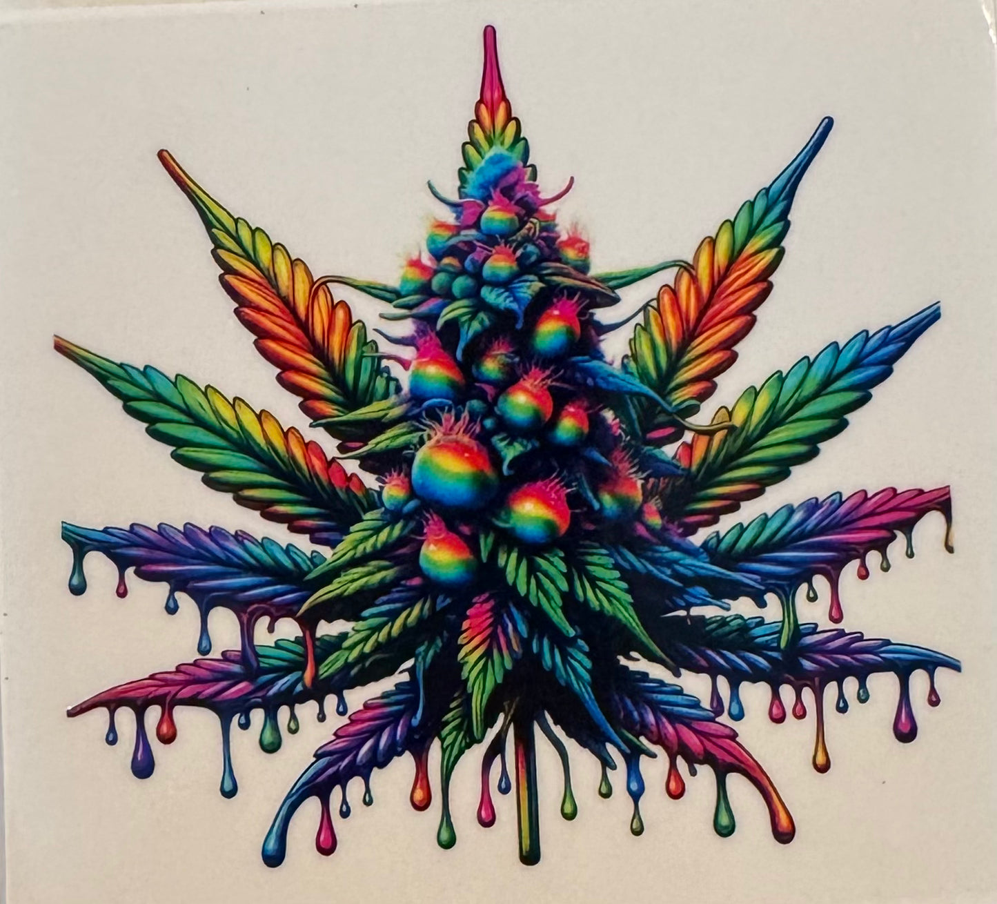 Leaf Tree Colorful