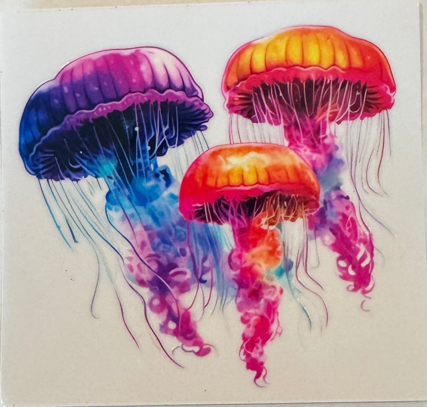 3 Jellyfish