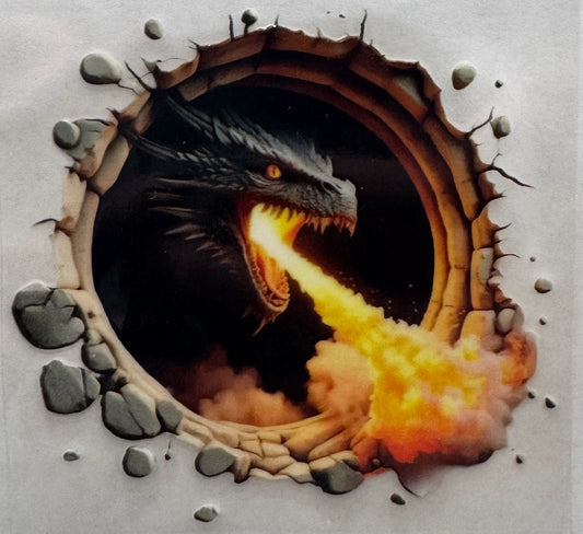Dragon Fire