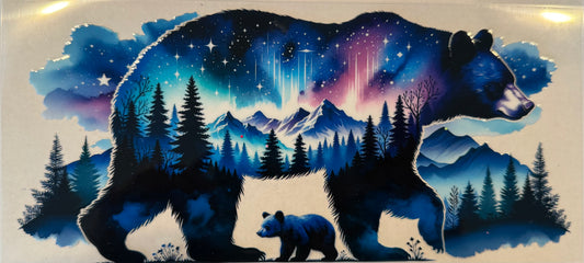 Bear night sky