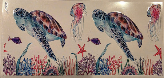 Turtle Sea Life