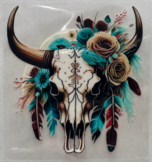 Western Teal Skull