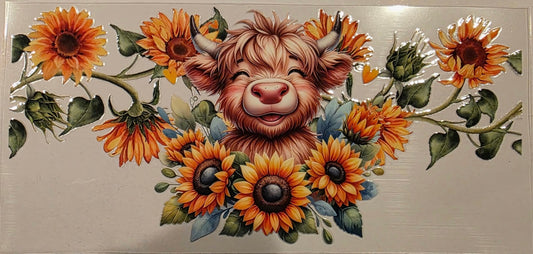 Smiling Cow Sunflowers