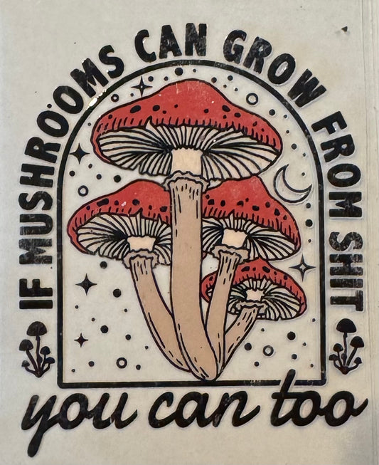If mushrooms can grow from shit, you can too