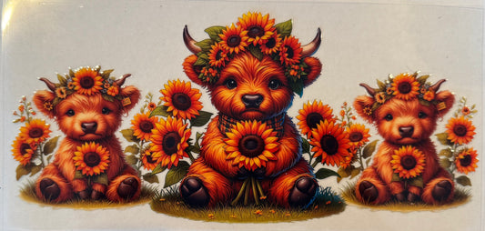 Sunflower Cows
