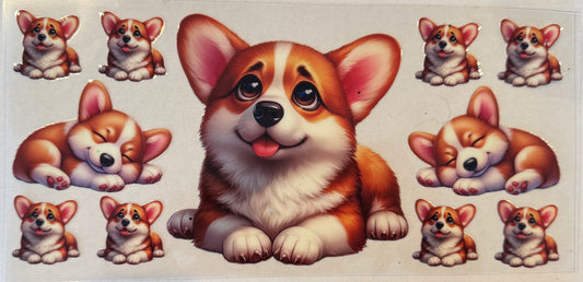 Corgi sad smile