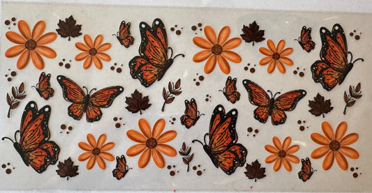Fall butterfly’s