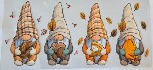 Fall Gnomes