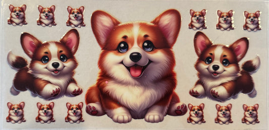 Corgi Smile