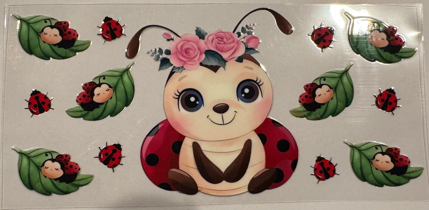 Ladybug