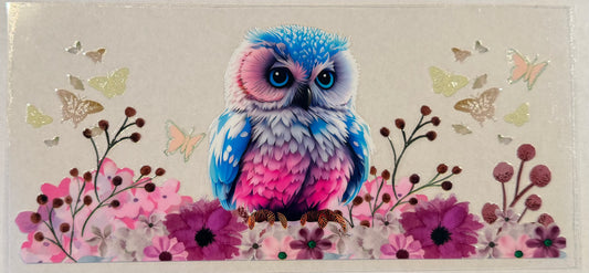 Owl