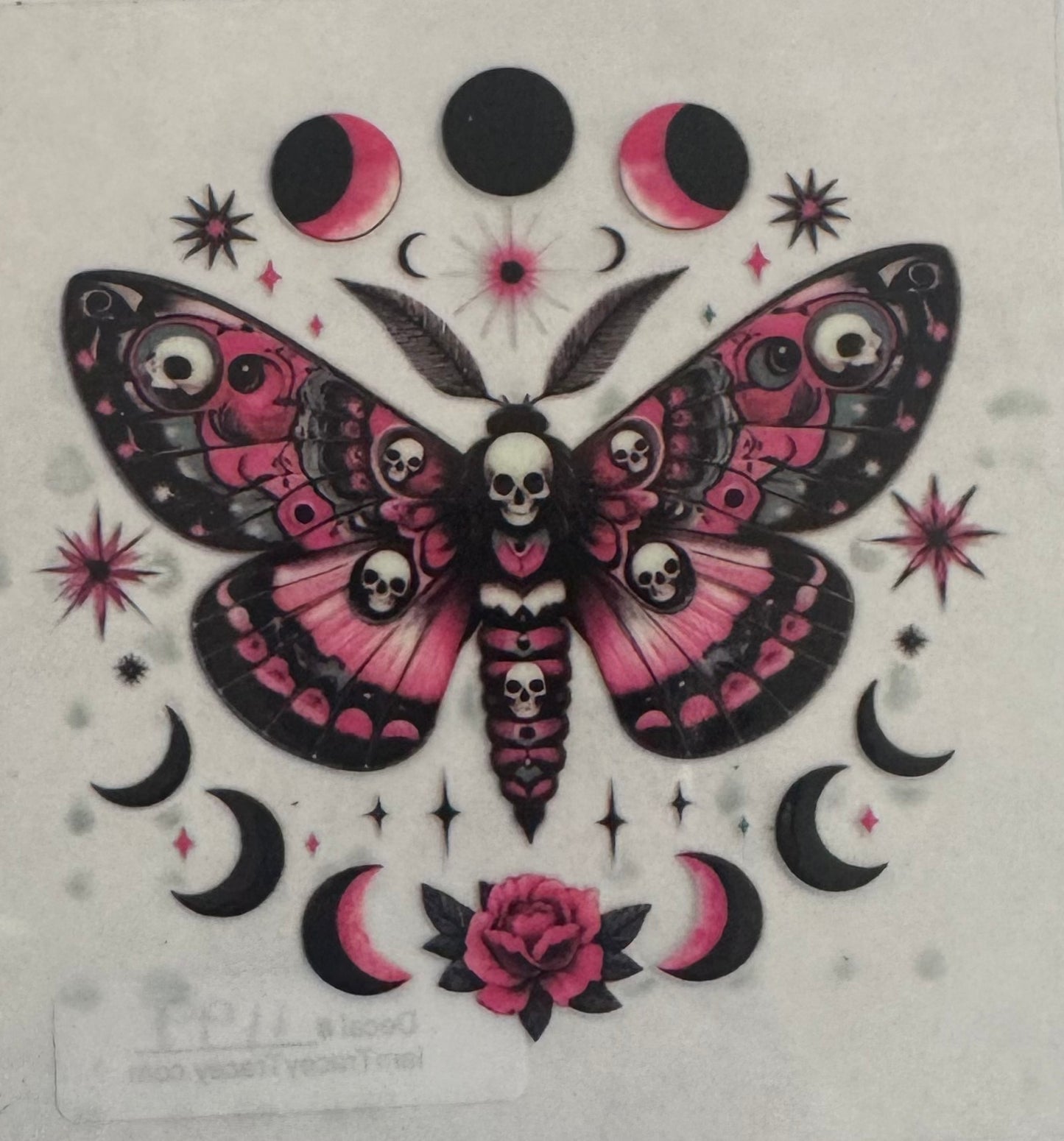 Pink and black moth