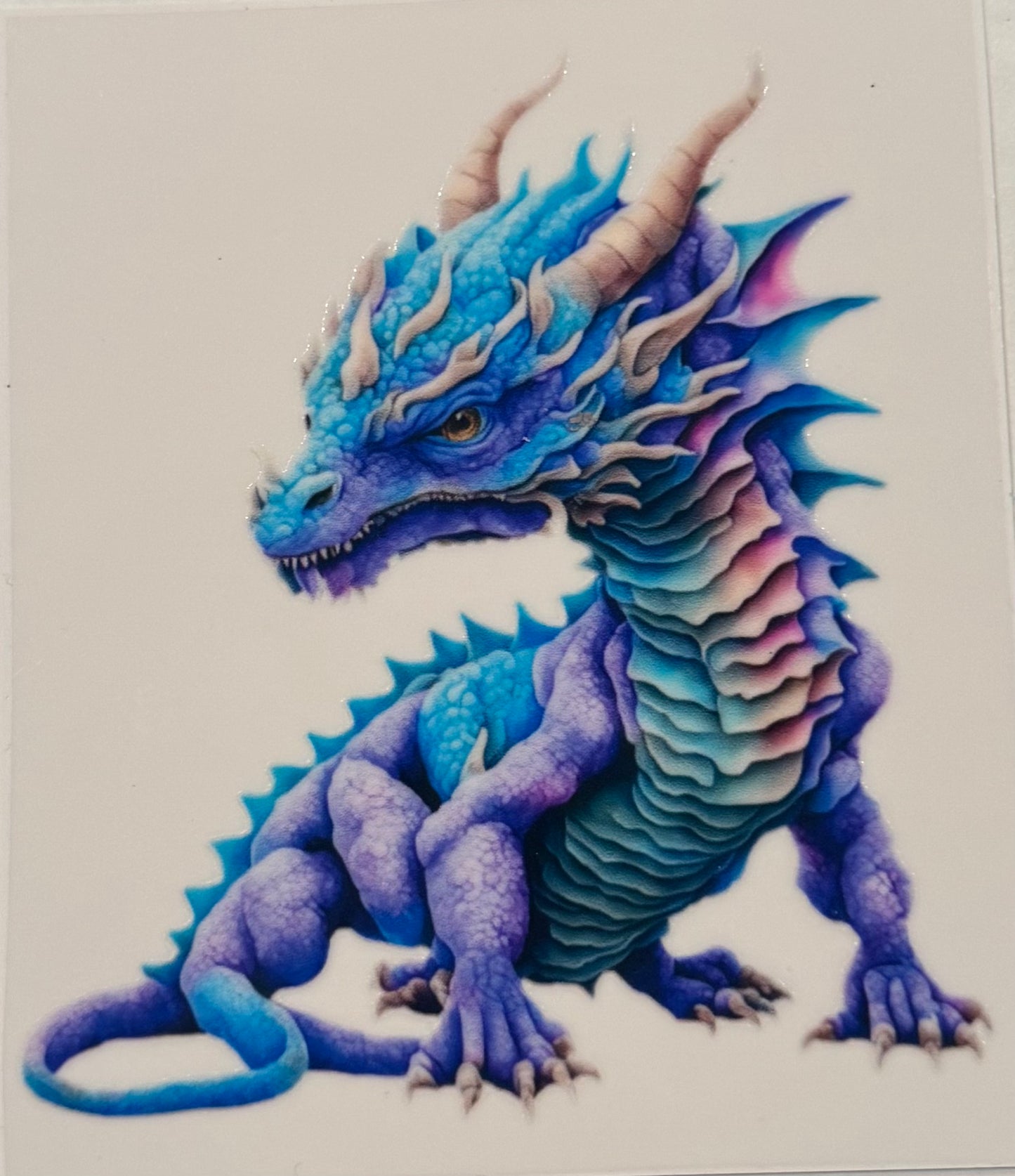 Purple/Blue Dragon